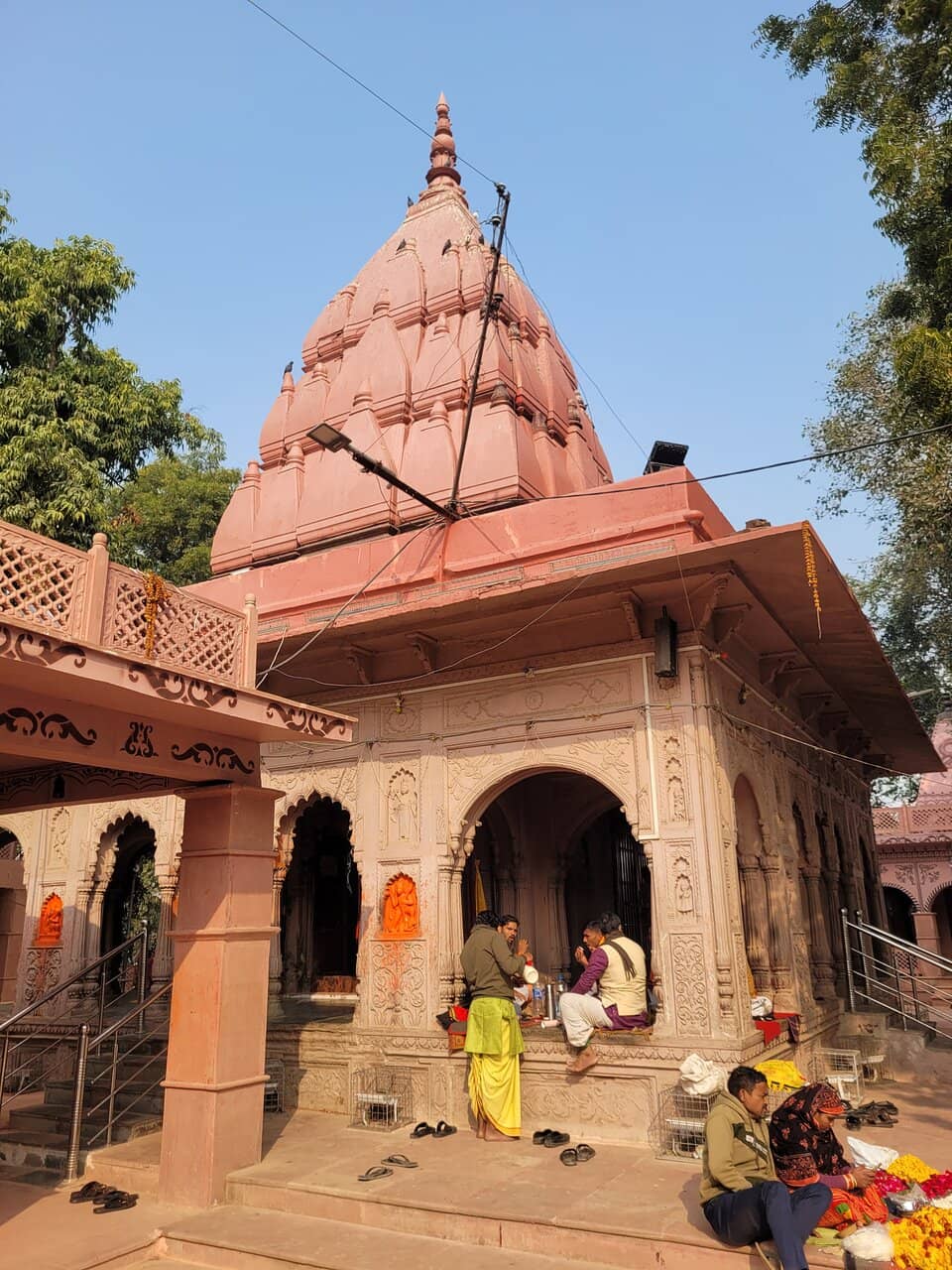 The Serpent King Vasuki