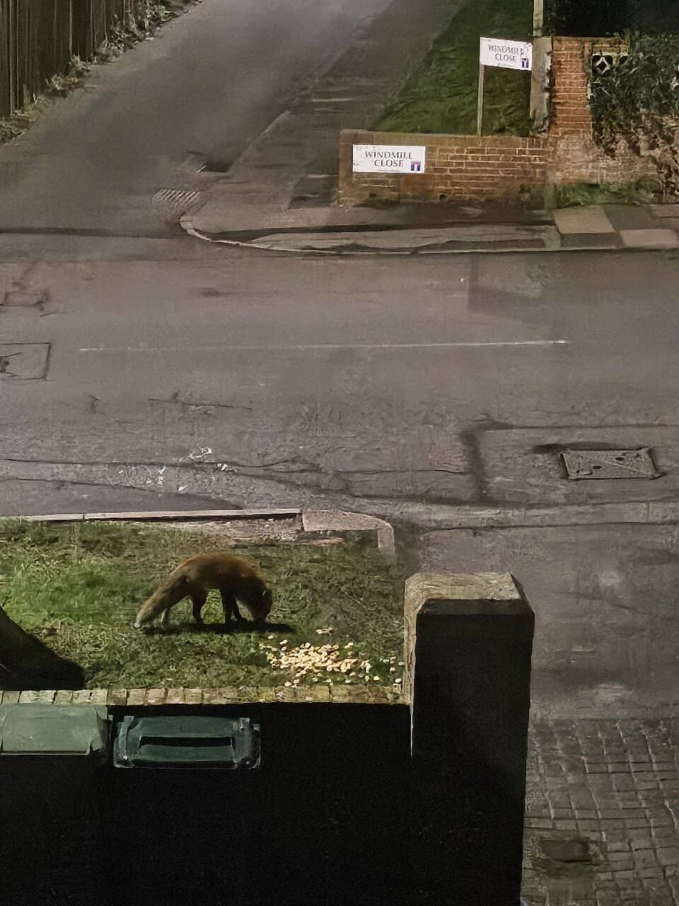 Generous Portions, Great Value