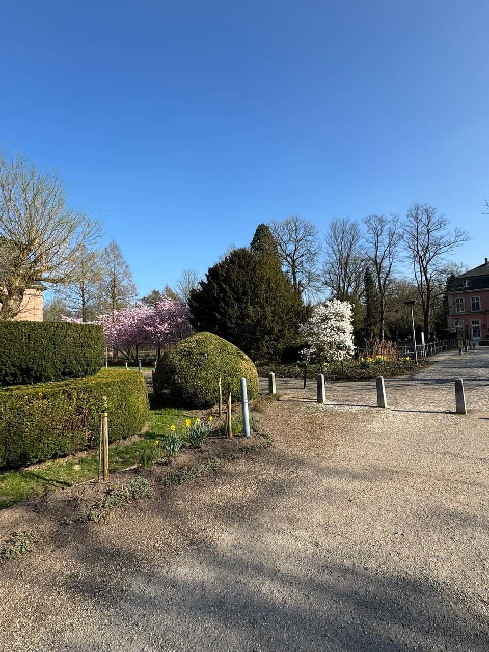 Scenic Park