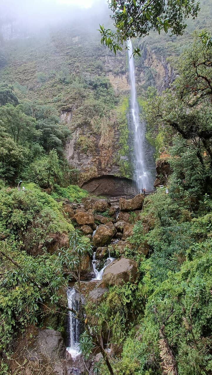 Ciclo Canopy Adventure