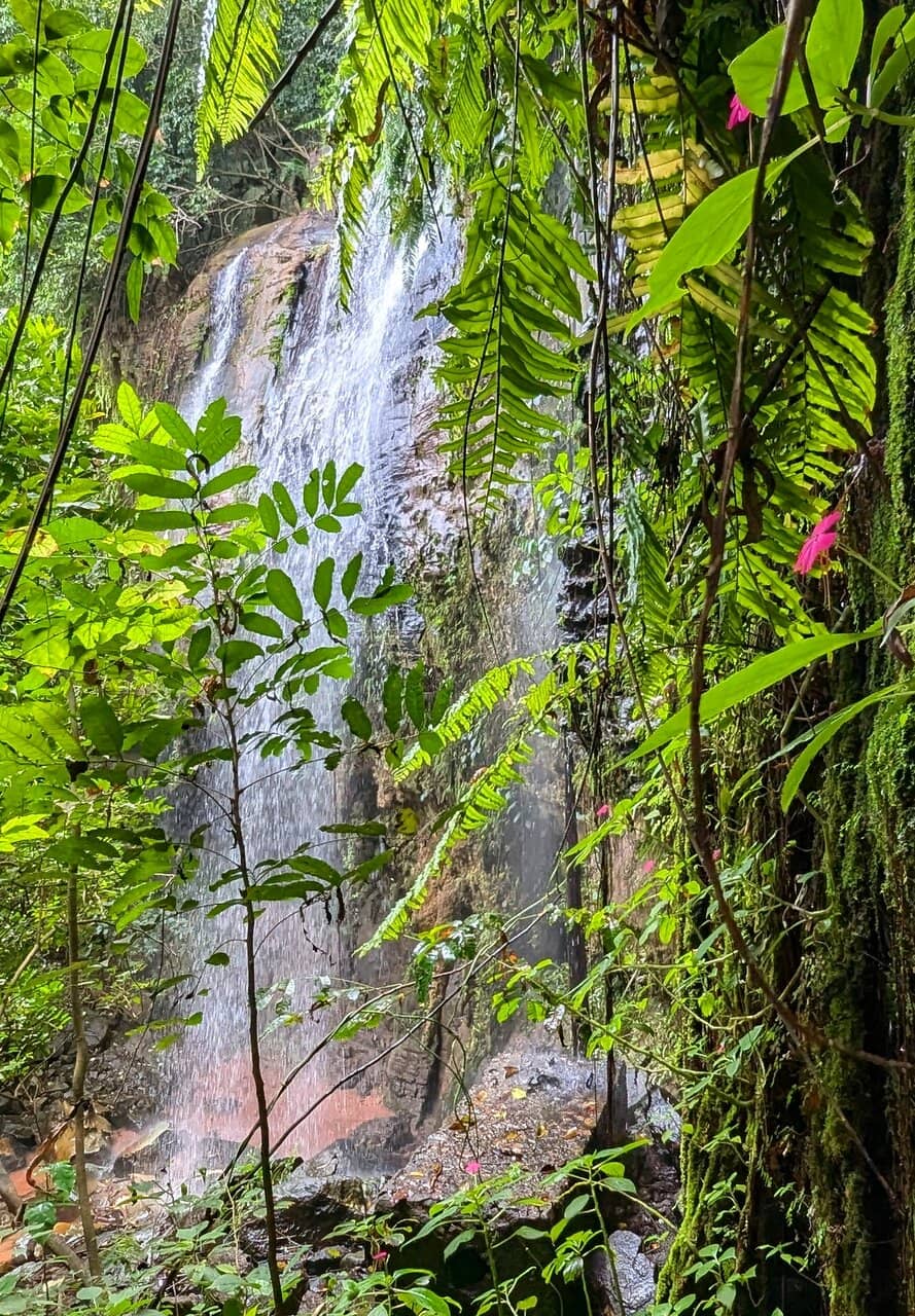 Vertical photo