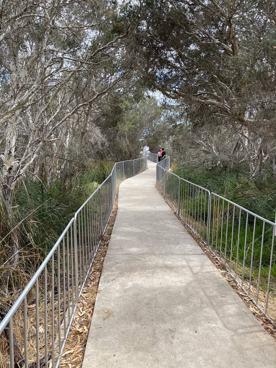Boardwalk Experience