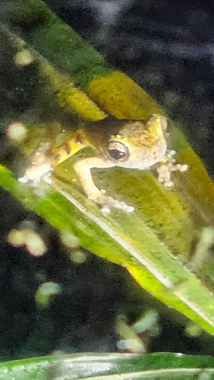 Insect Exploration