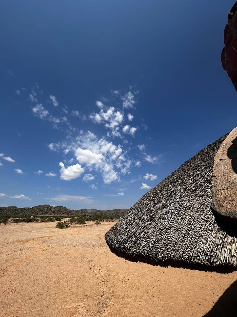 Conservation in Action