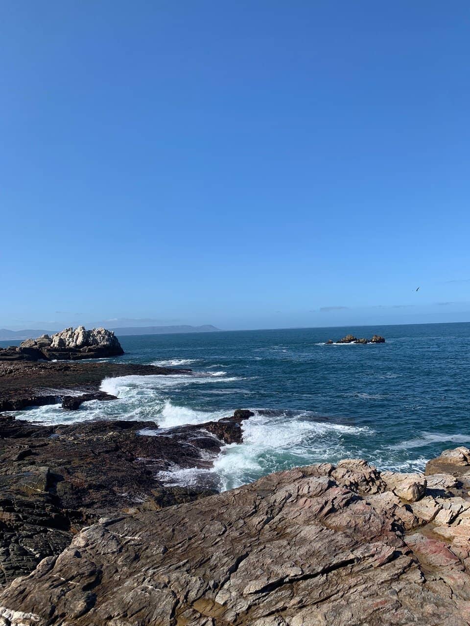 Tidal Pools