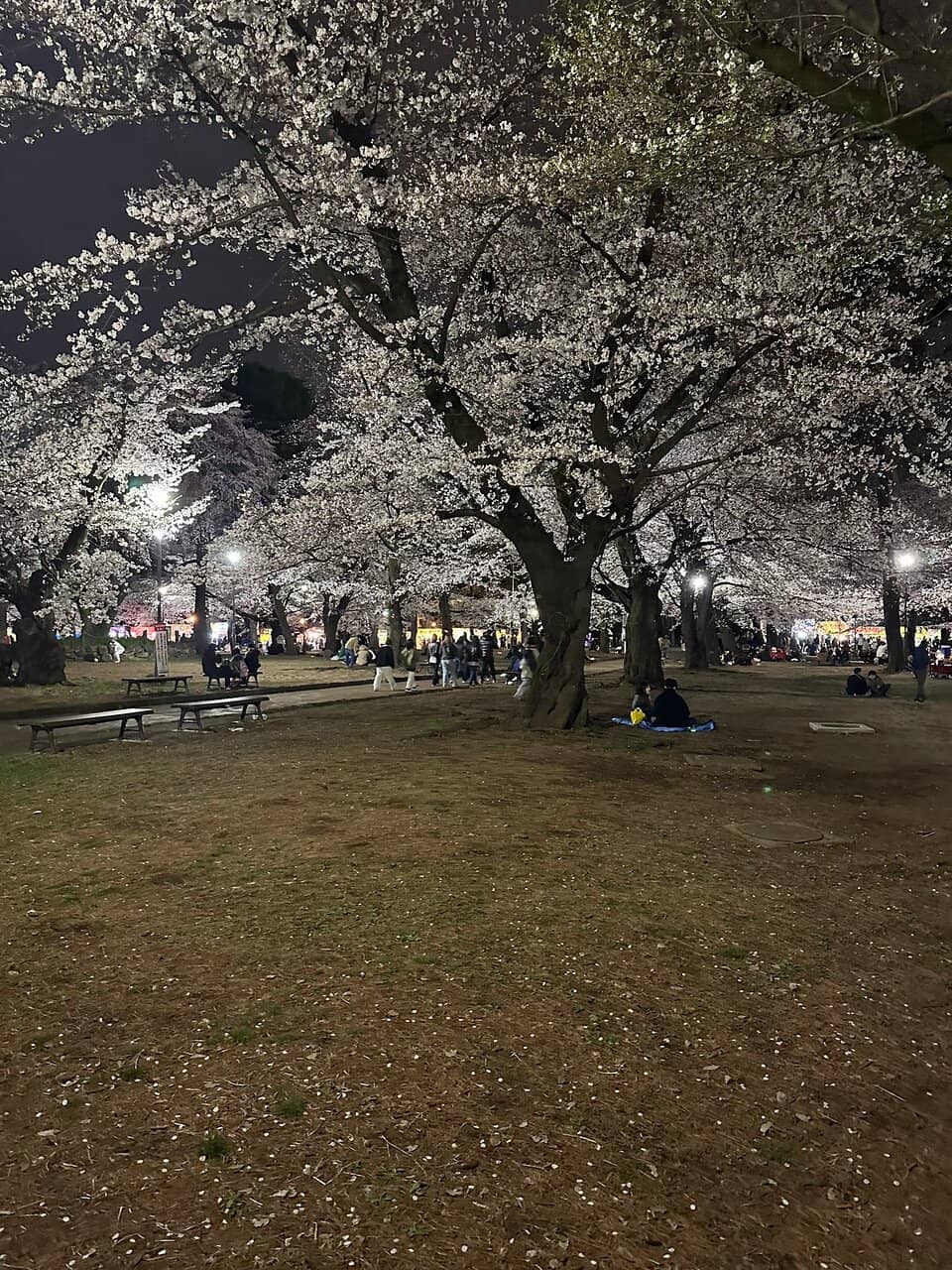 Free Mini Zoo & Playground