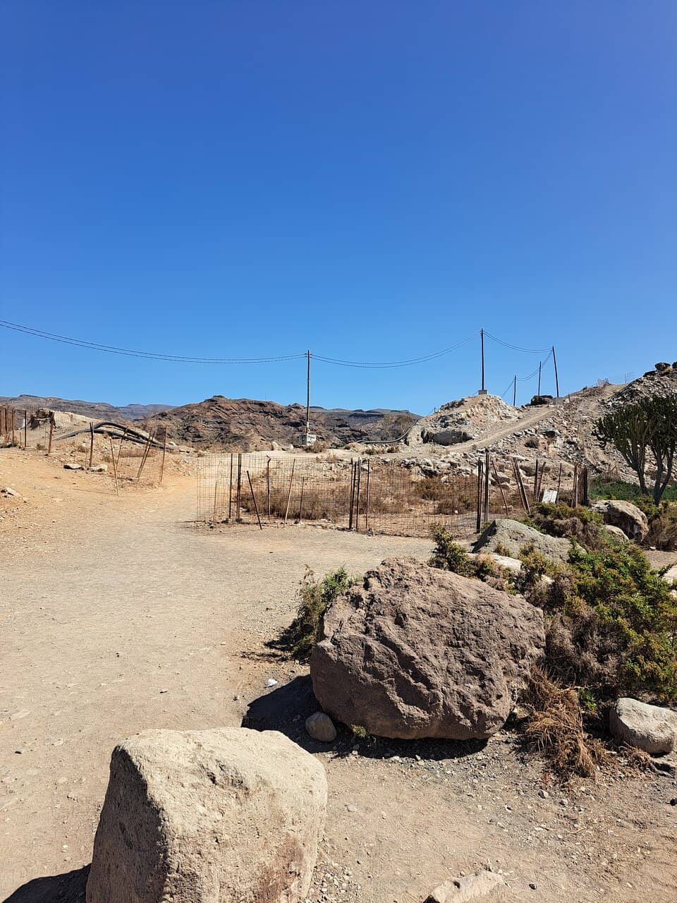 Vertical photo