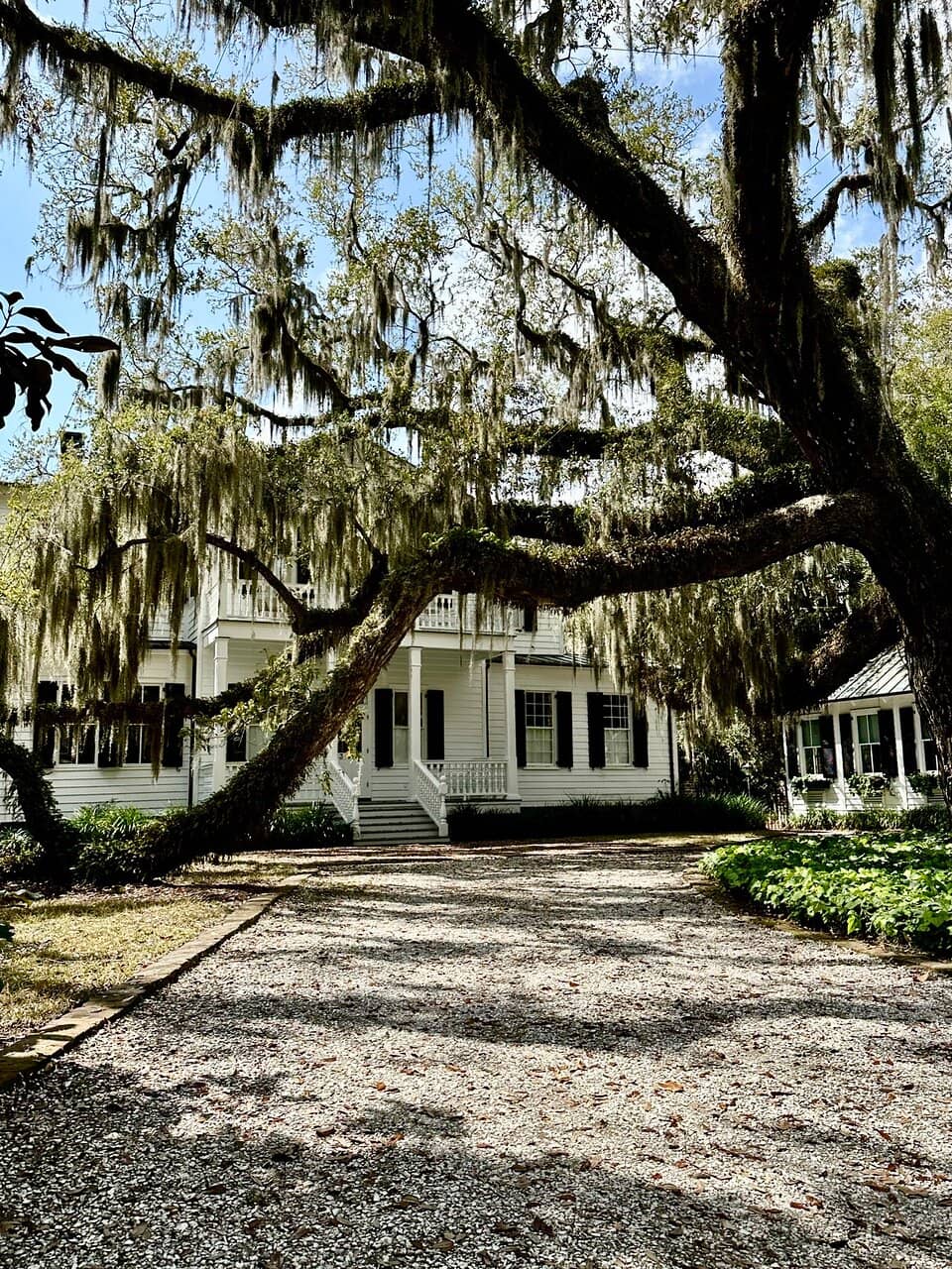 Beaufort Tree Walk