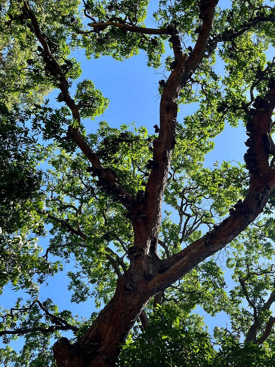 Vertical photo