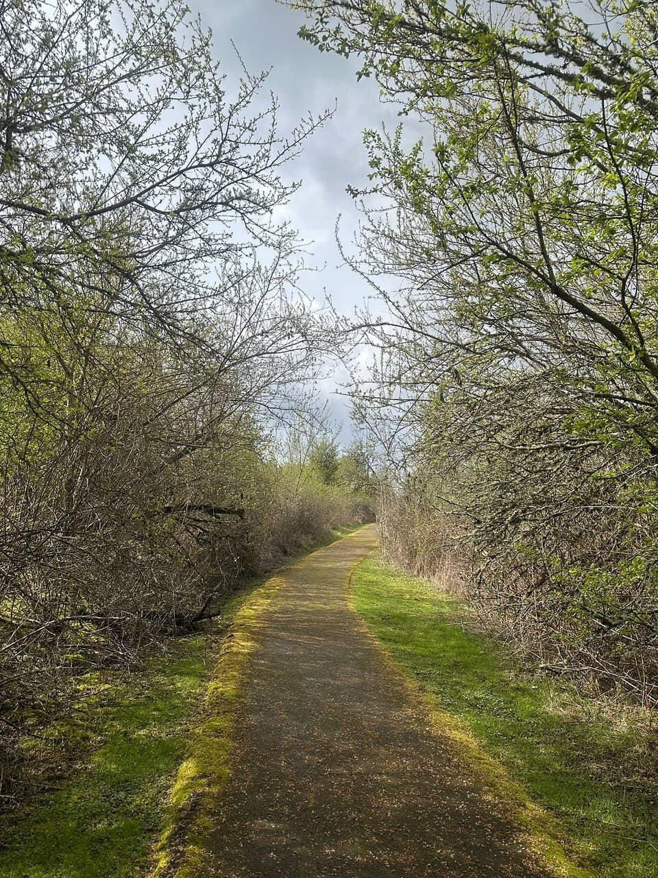 Scenic Farmland Views