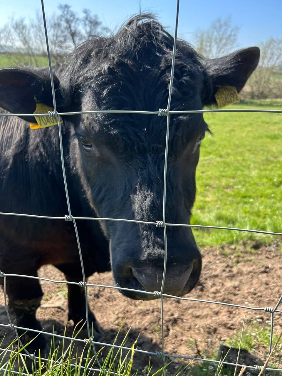 Etal Village Exploration