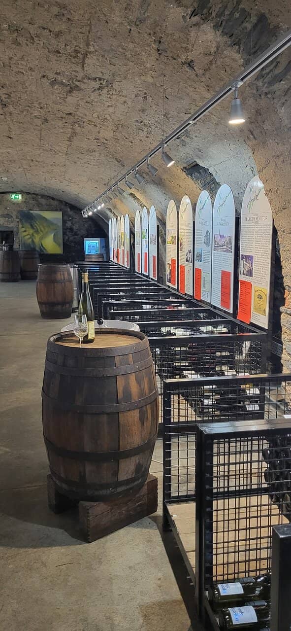 Fusion Tapas & Mosel Wines