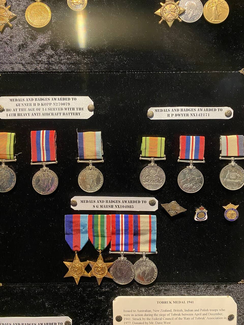 Defence of Darwin Experience