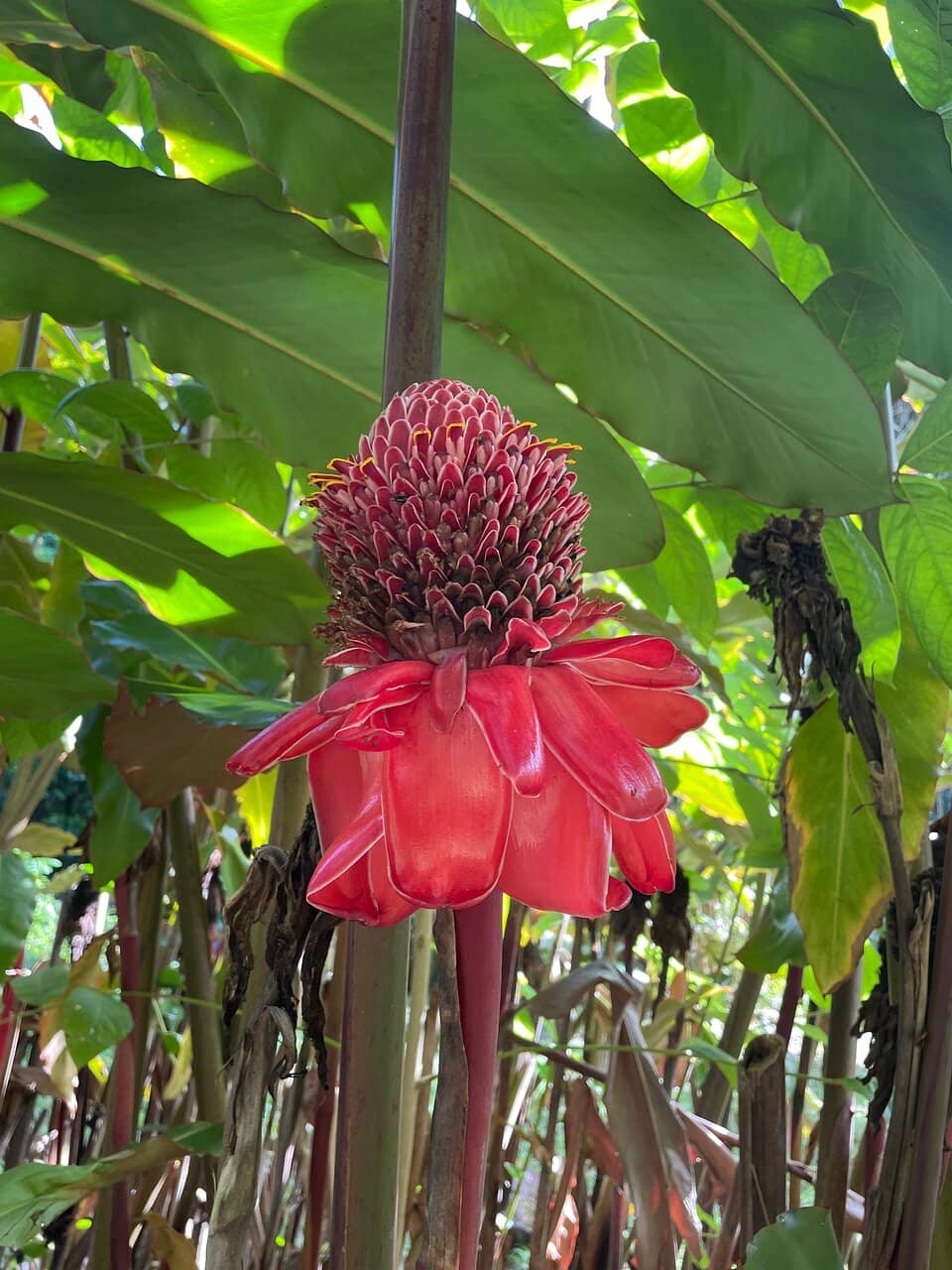 Peaceful Walking Trails