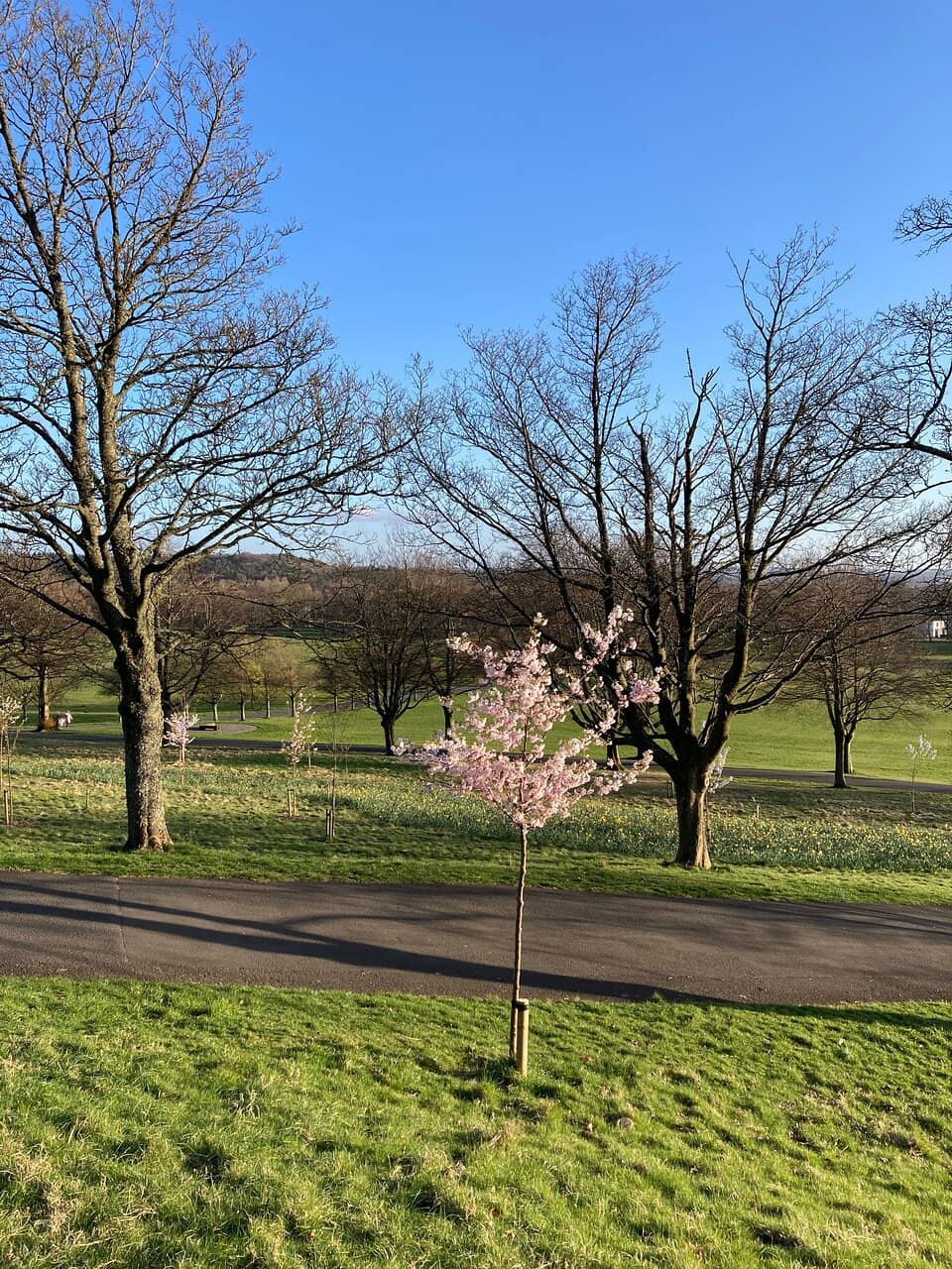 House for an Art Lover