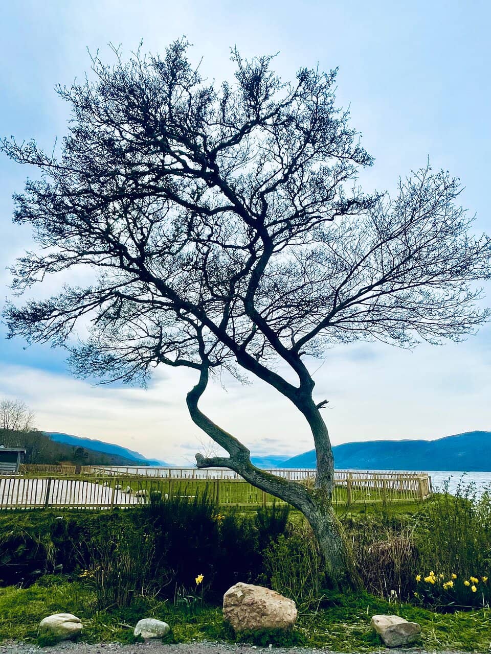 Vertical photo