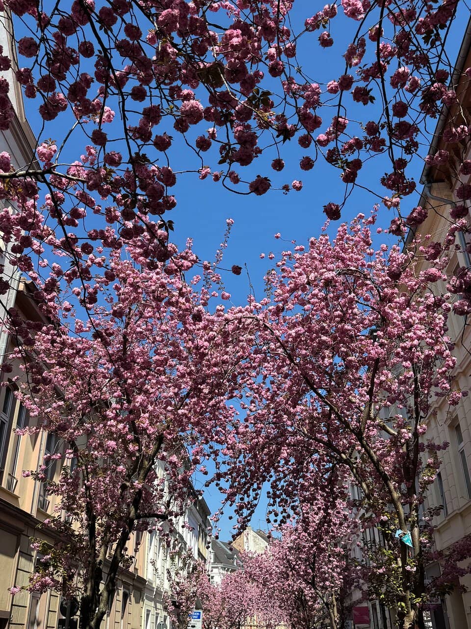 Photographer's Paradise