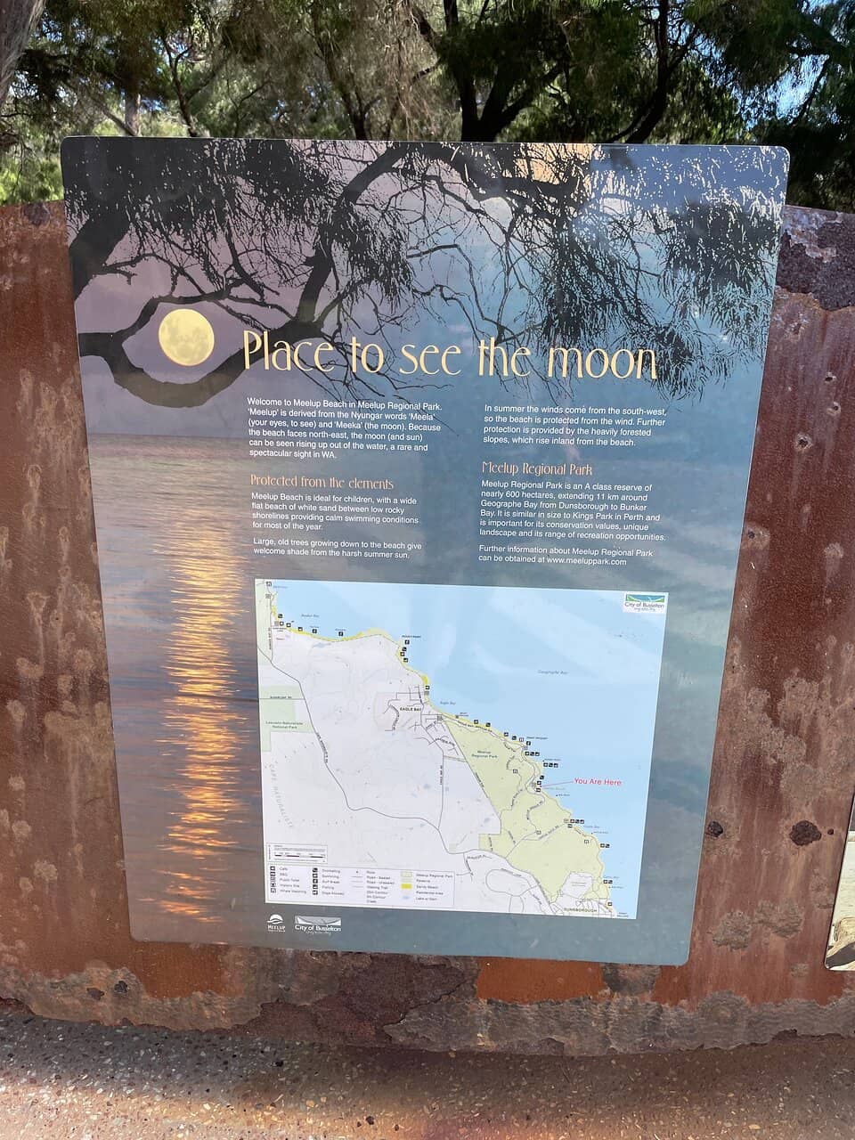 Whale and Dolphin Watching