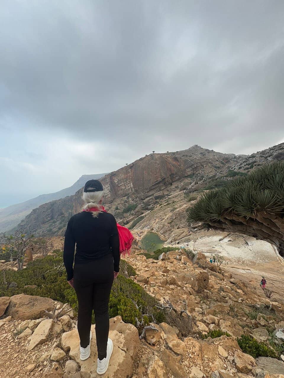 Natural Pools & Landscapes