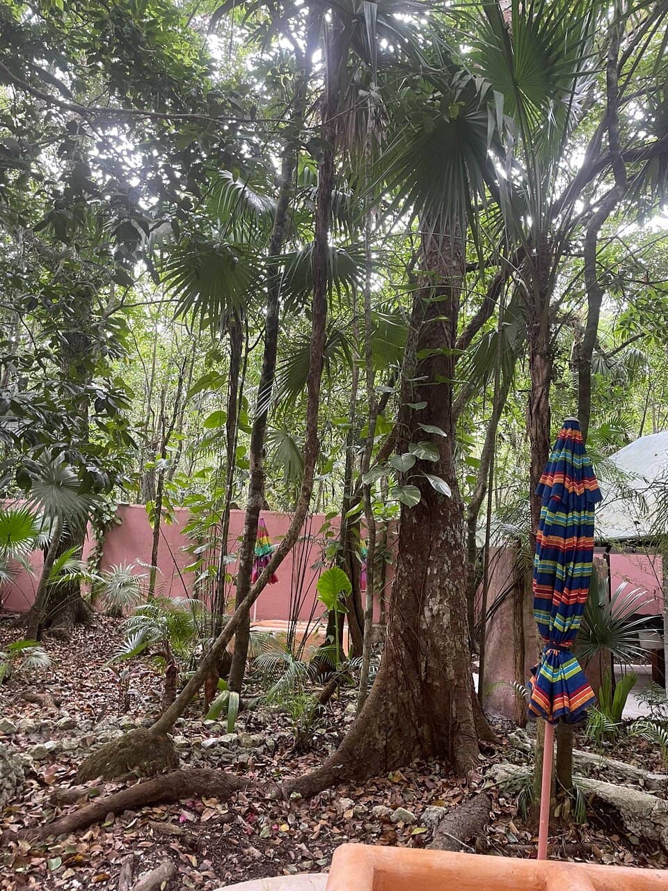 Mud Bath & Milk Soak
