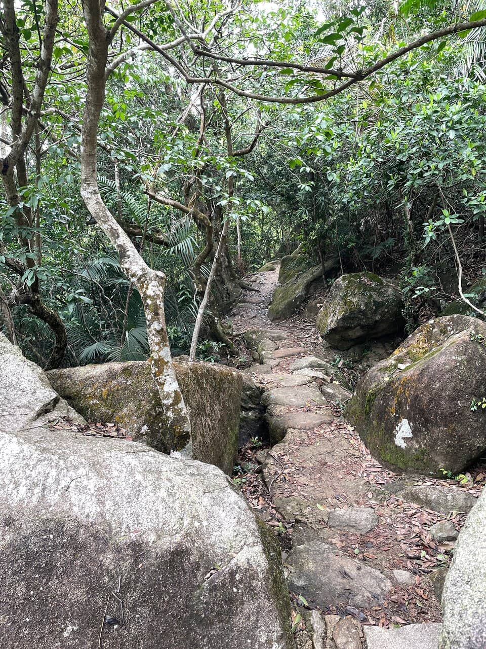 Violet Hill & Twins Peak