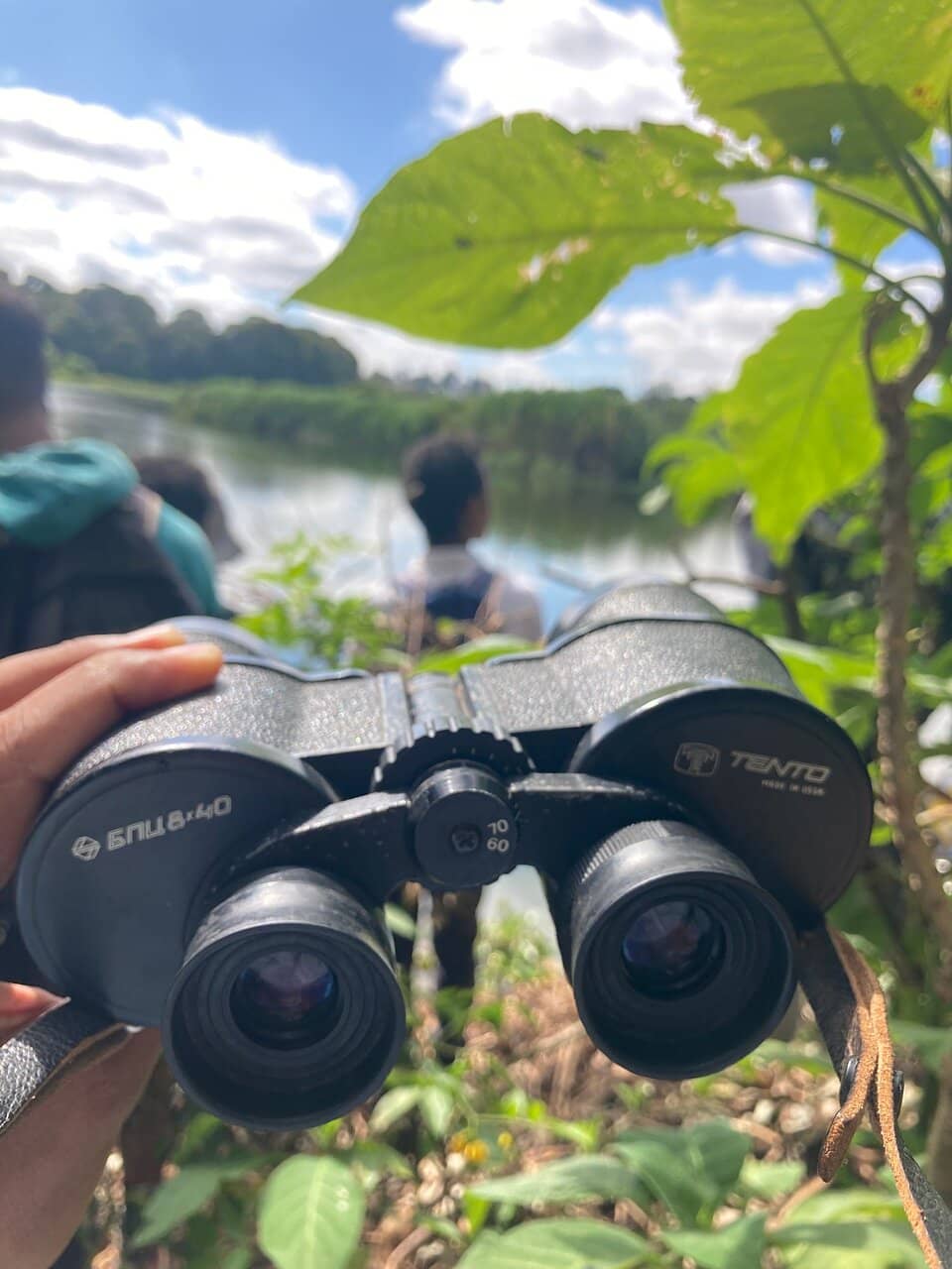 Tranquil City Escape