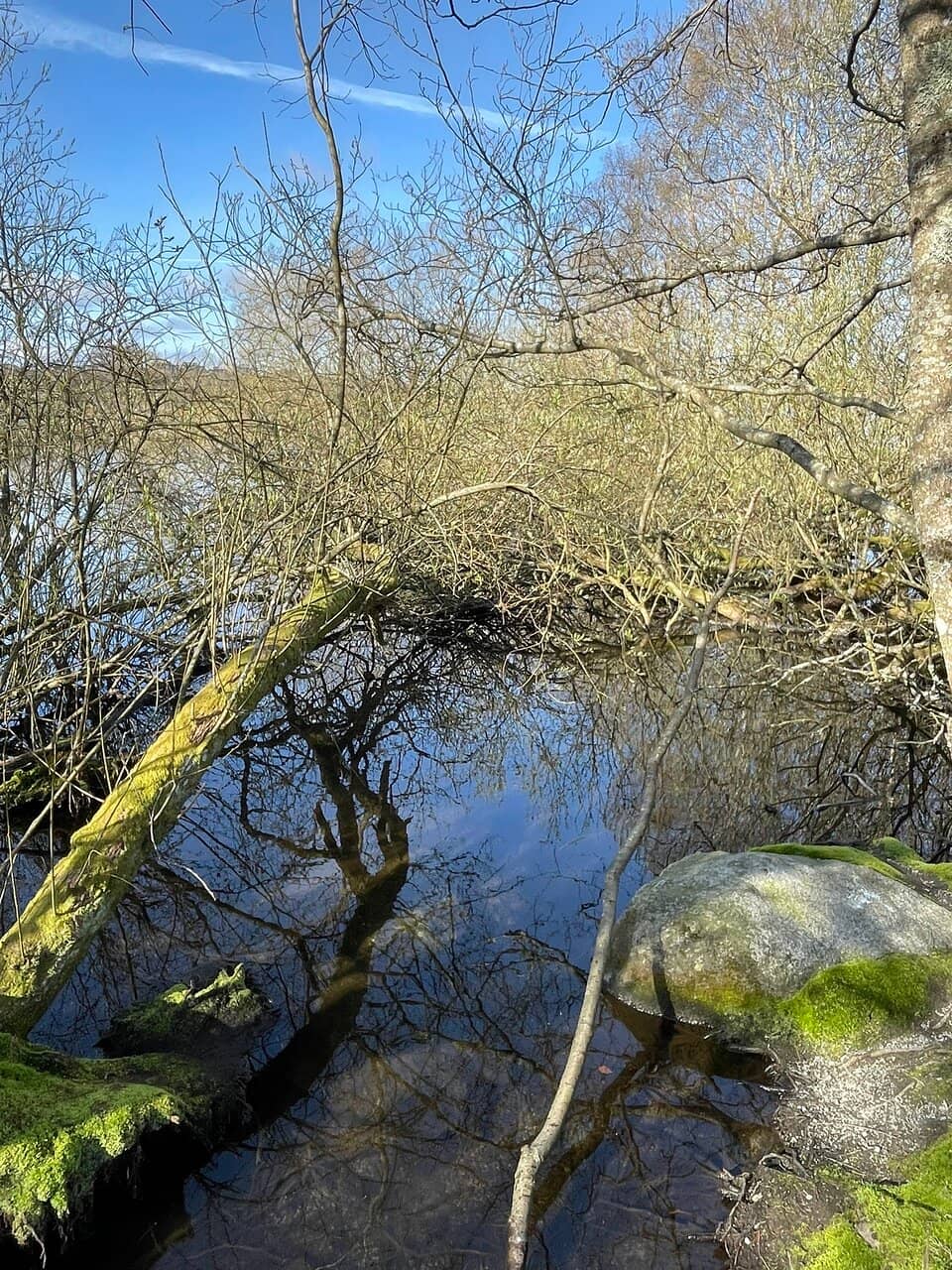 Vertical photo
