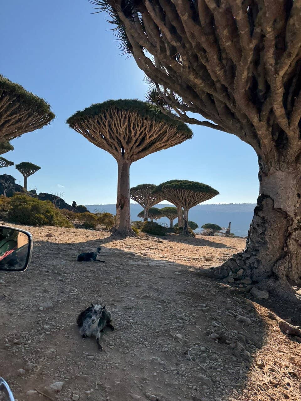 Diksam Plateau Views