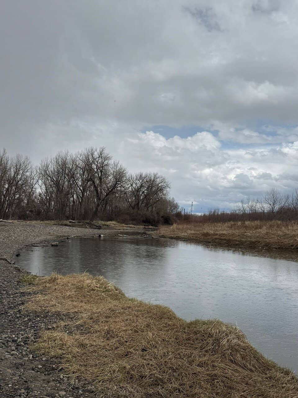 Wildlife Viewing