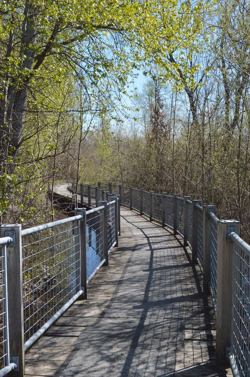 Scenic Walking Loop