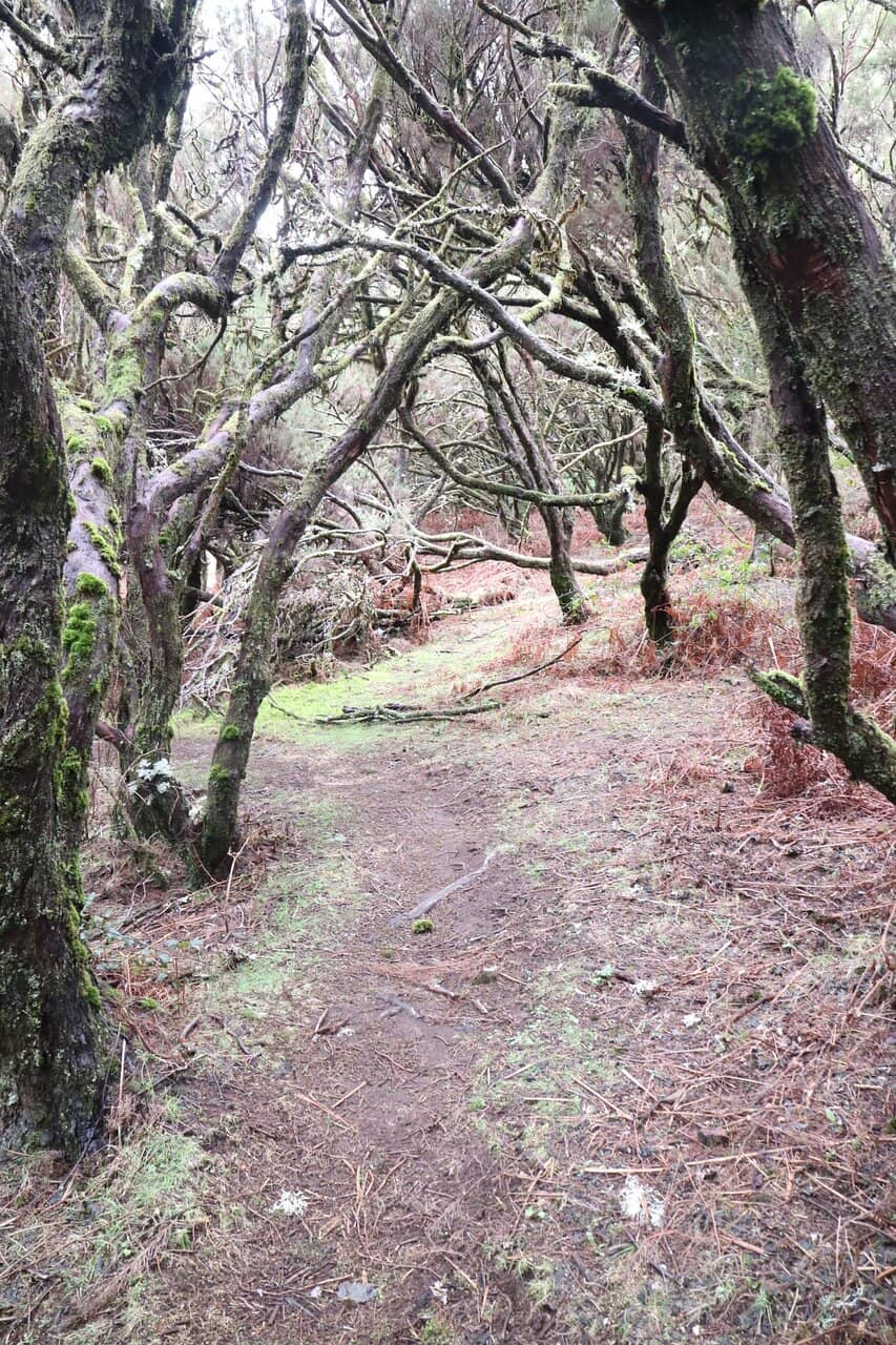 Hiking Trailheads