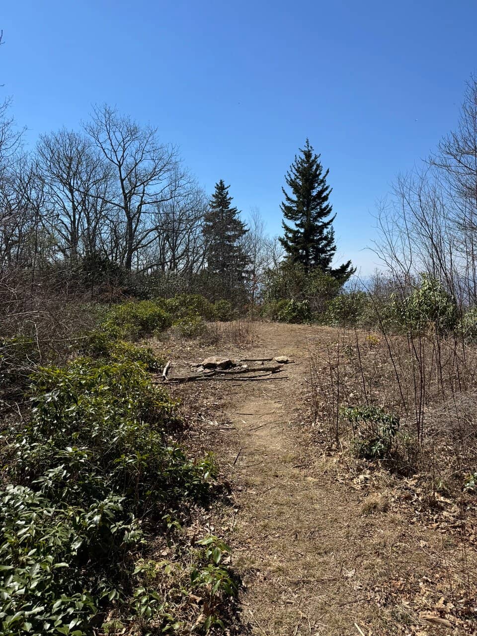 Rocky Ascent