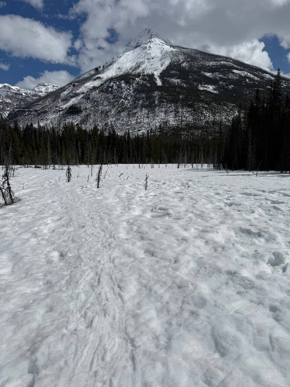 Indigenous Ochre Use History