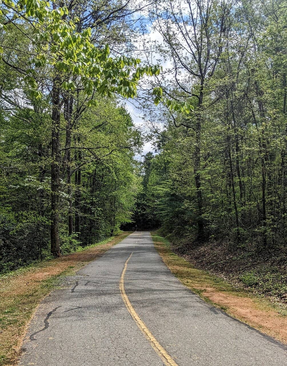 Wooded Mountain Bike Trails