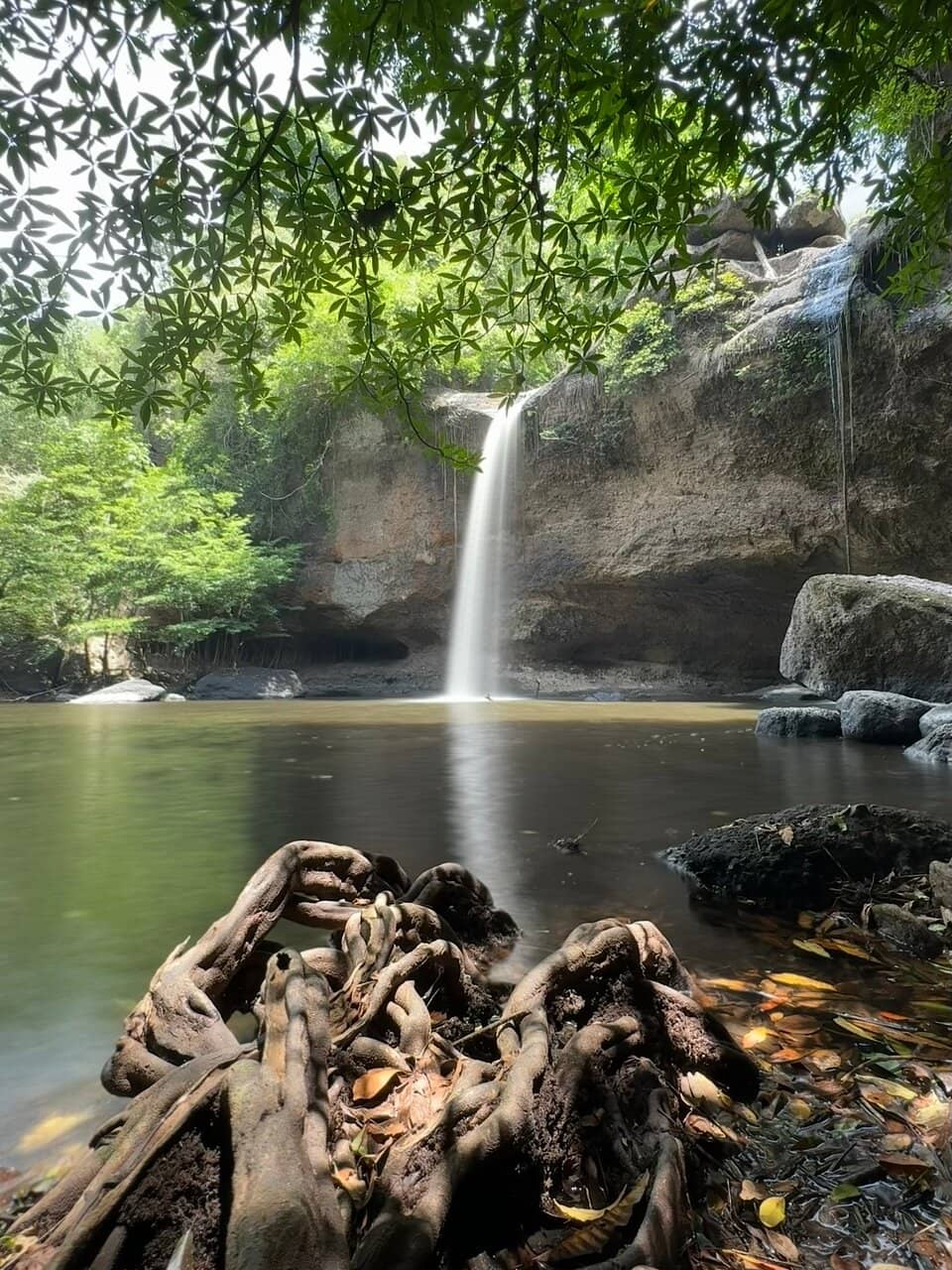 Khao Yai National Park Drive
