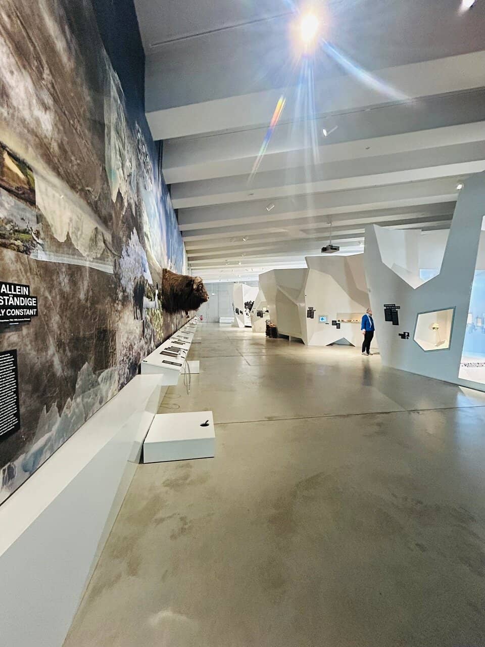 Excavation Site and Mine View