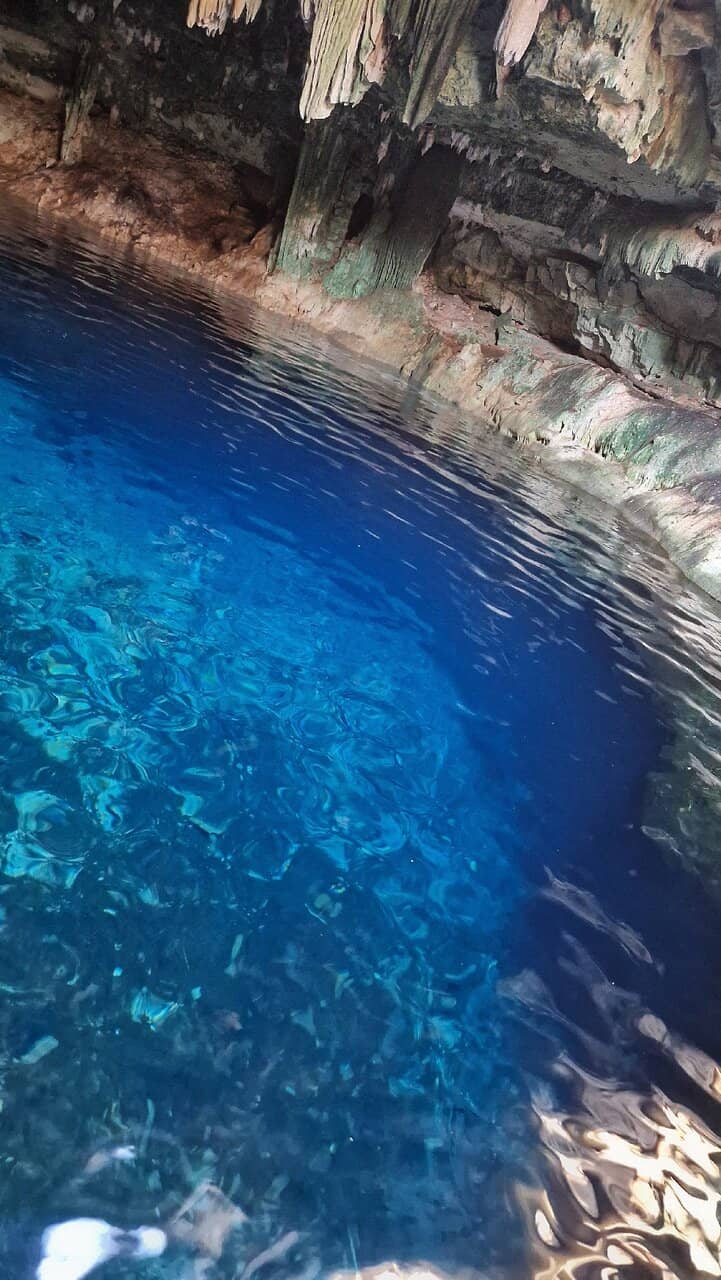 Majestic Stalactites & Roots
