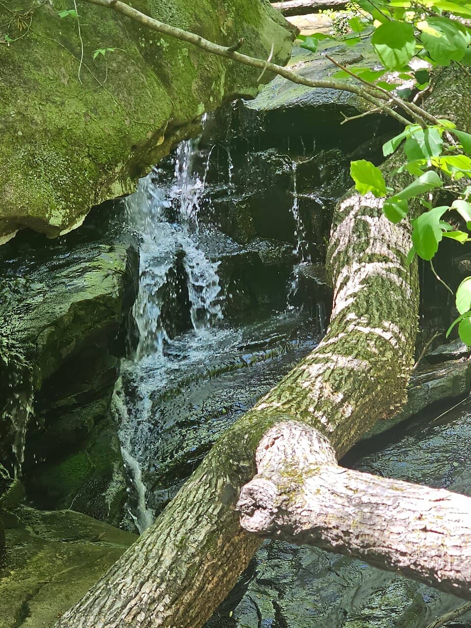 Hiking Trails