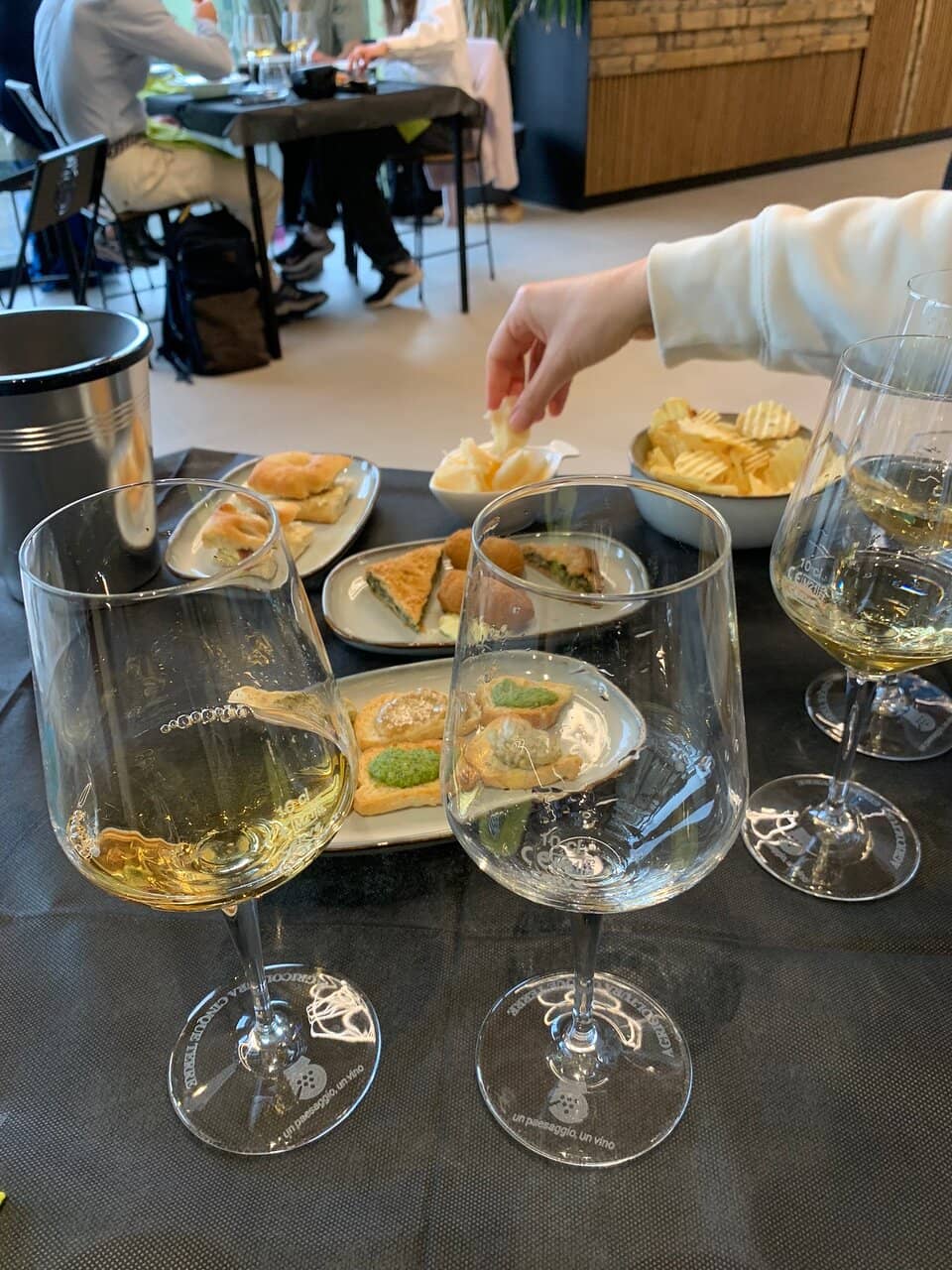Winery Tour