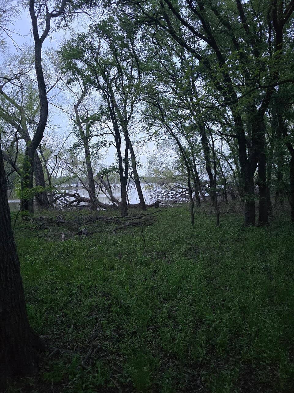 Fishing and Boating