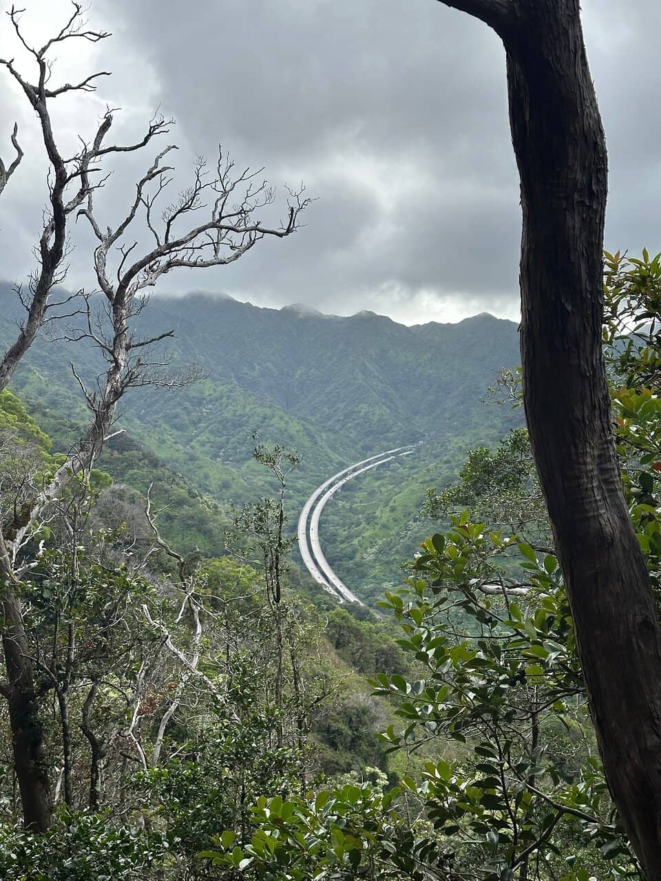 B-24J Liberator Crash Site