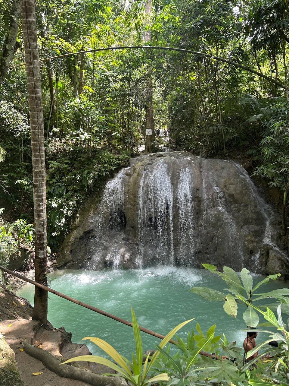 Natural Swimming Pool