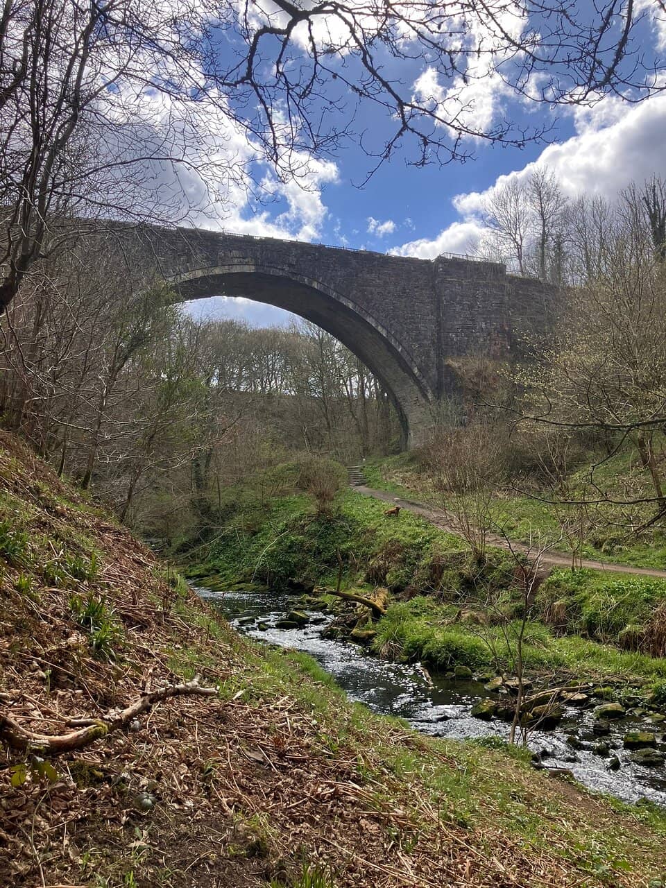 Causey Arch
