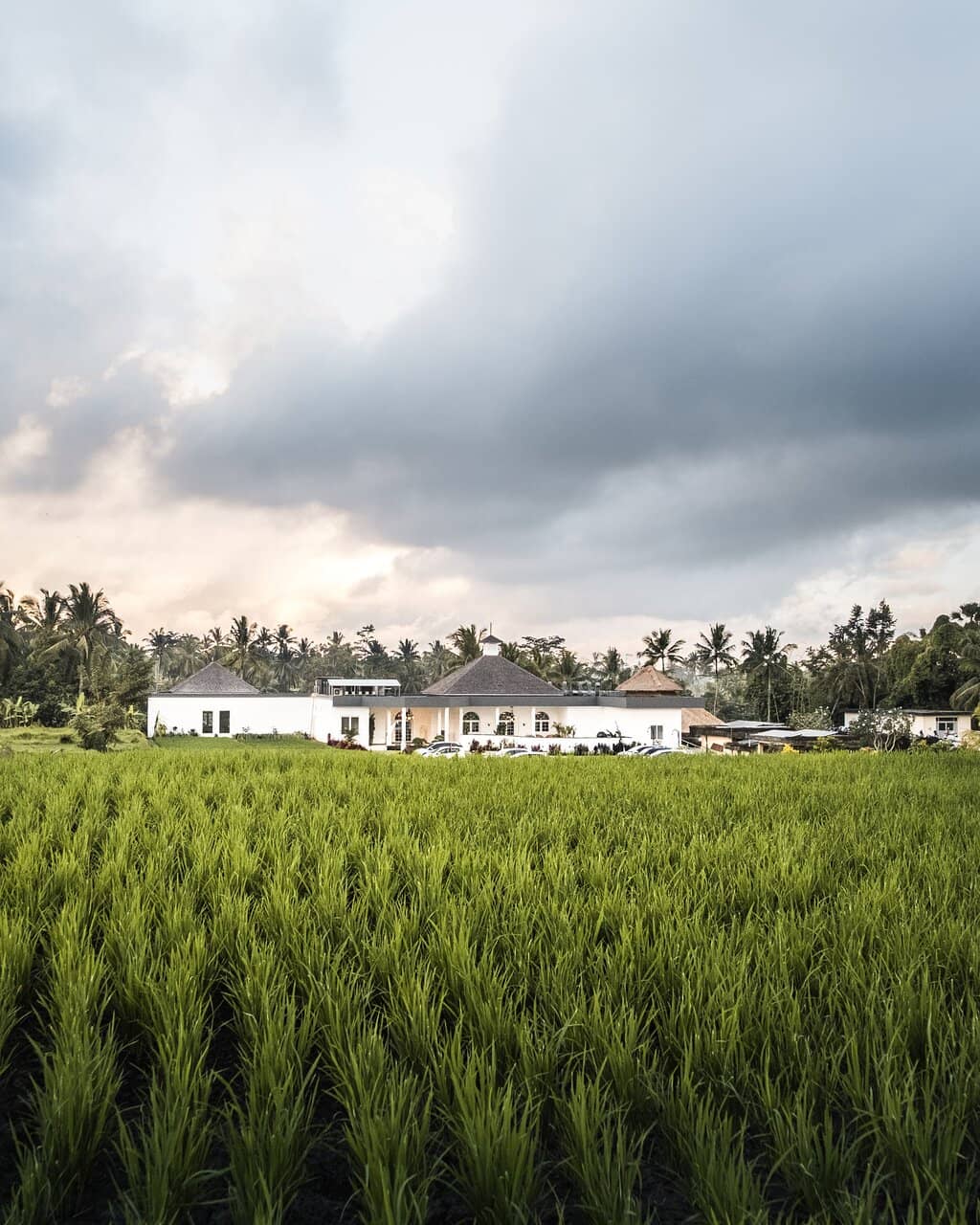 Fusion of Global Flavors