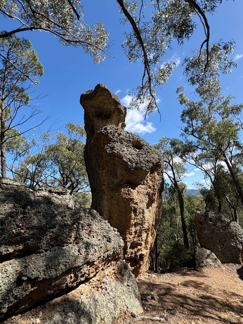 Scenic Lee Wood Setting