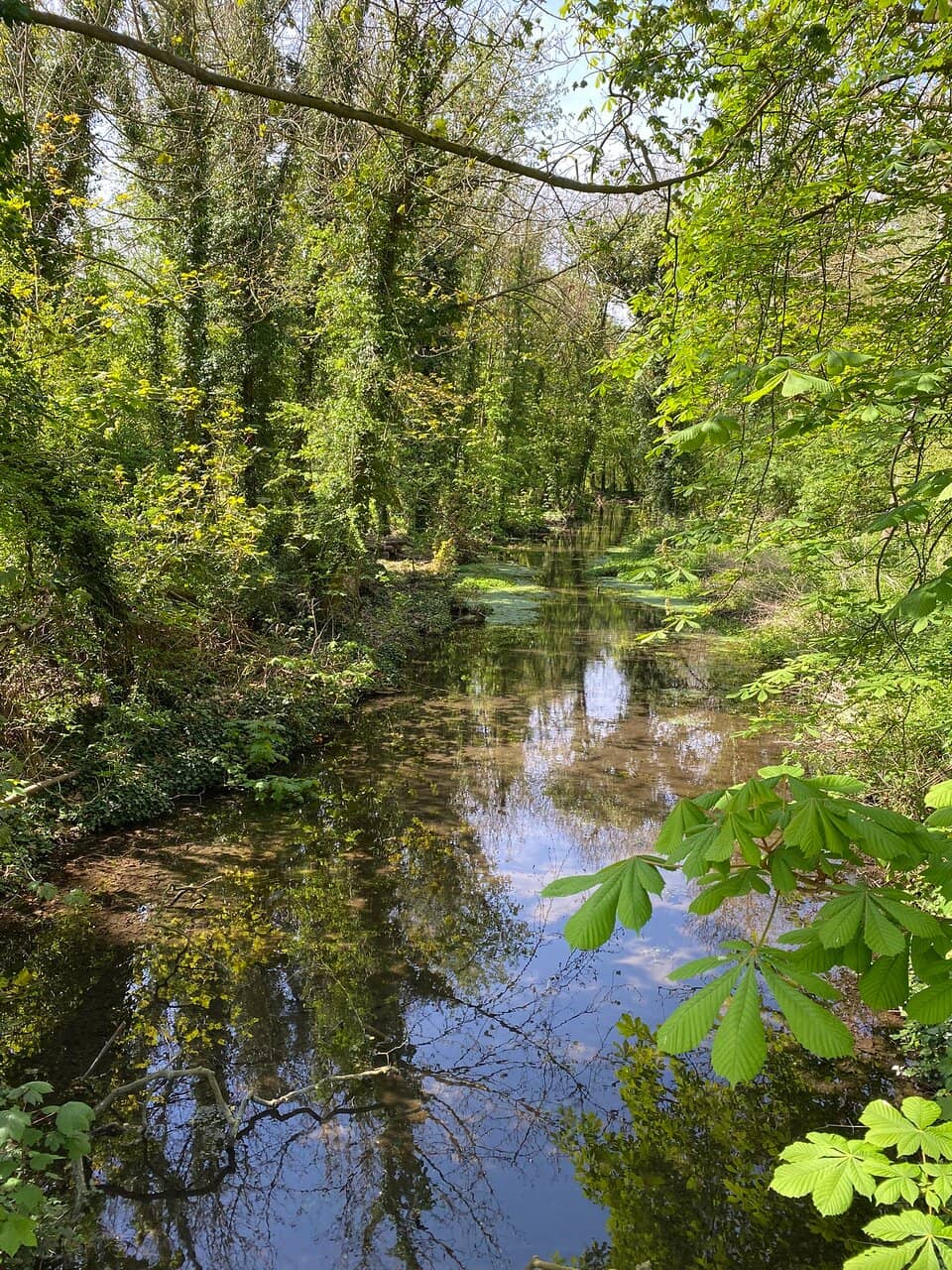 Woodland & Waterways