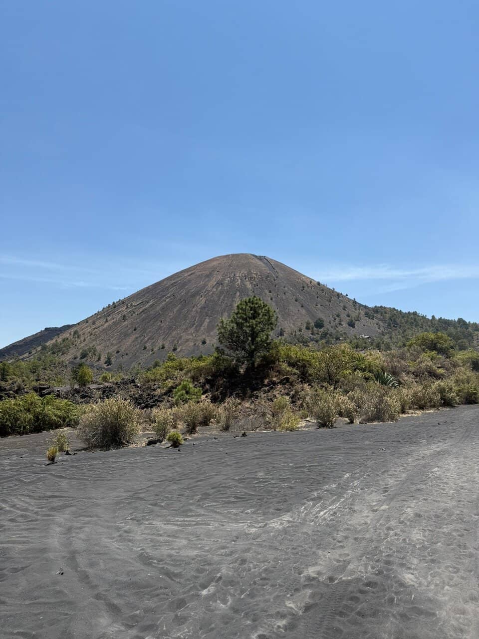 Lava Fields