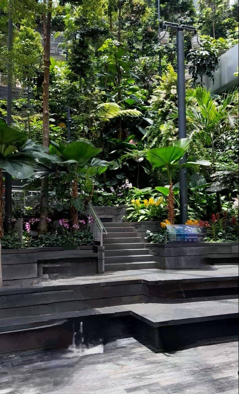 Canopy Park