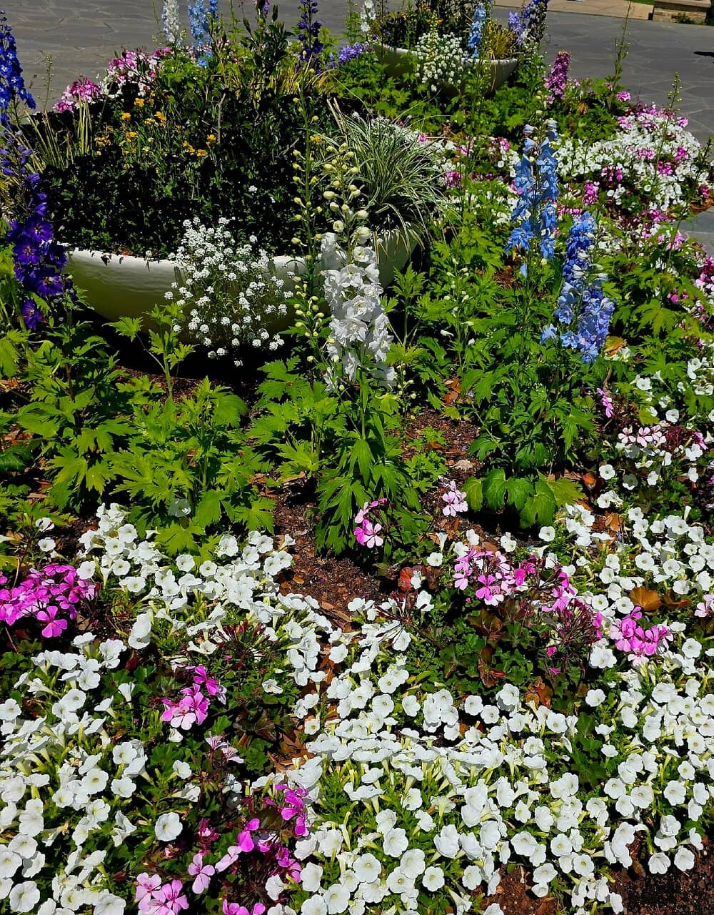 Diverse Plant Collections