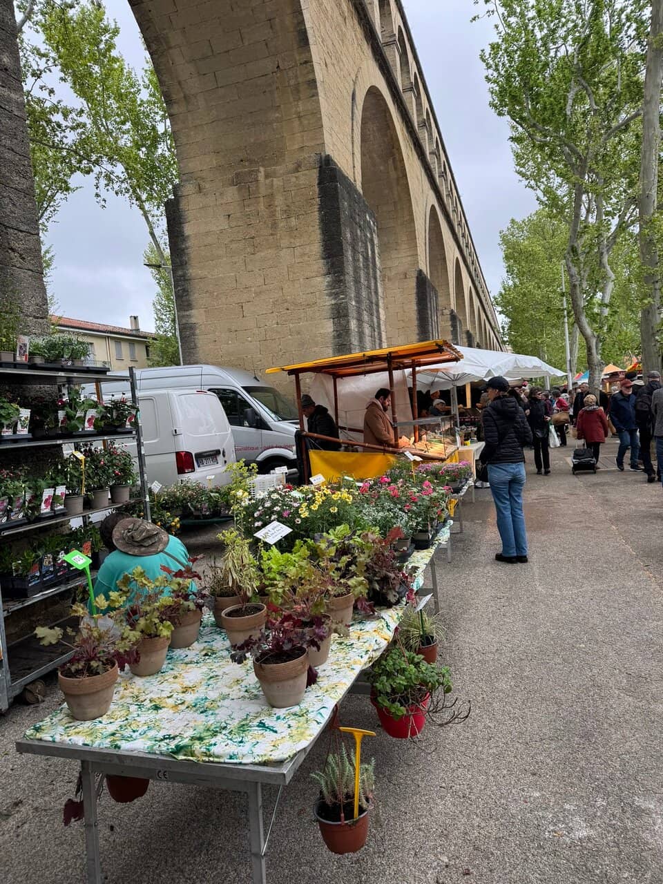 The Grand Arches